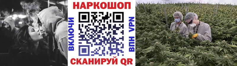 Где найти наркотики Богучар A PVP  МЕТАДОН  Каннабис  ГАШ 