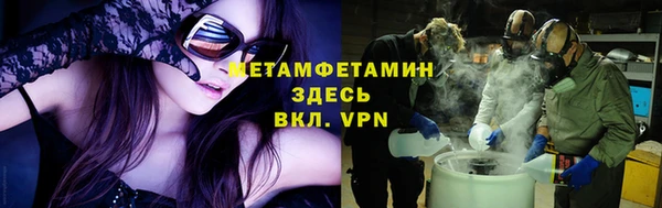 индика Аркадак