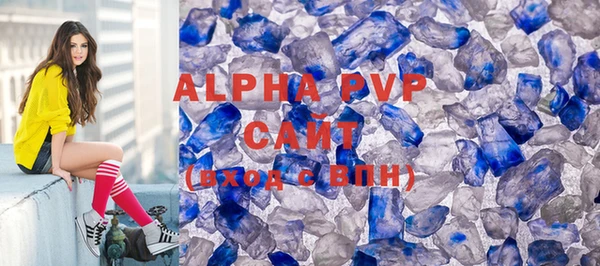 индика Аркадак