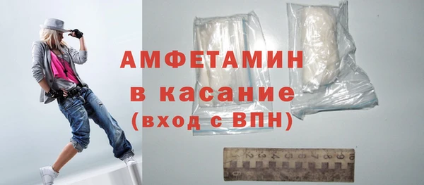 индика Аркадак