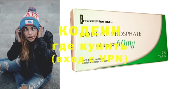 индика Аркадак
