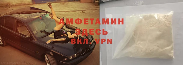 индика Аркадак