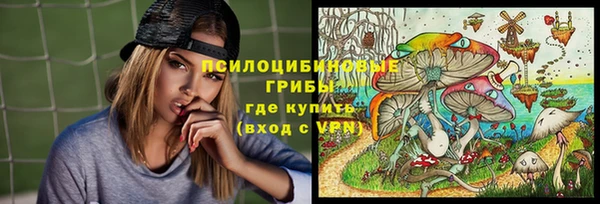 МДПВ Арсеньев