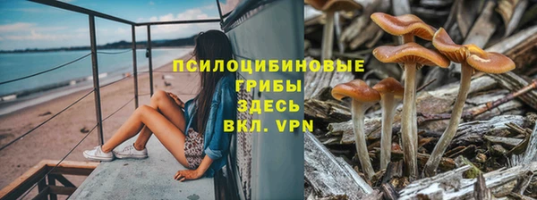 гидропоника Армянск
