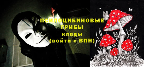гидропоника Армянск